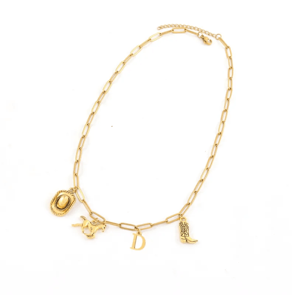 COLLAR  CON CHARMS "WESTERN" E INICIAL "D" EN ACERO INOXIDABLE