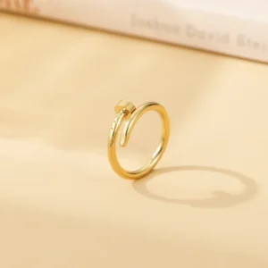 Anillo “Clavo” en Acero Inoxidable de Titanio
